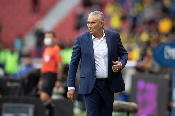 Tite a beira do campo