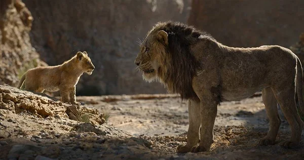 O Rei Leão: 5 motivos para assistir ao novo remake da Disney