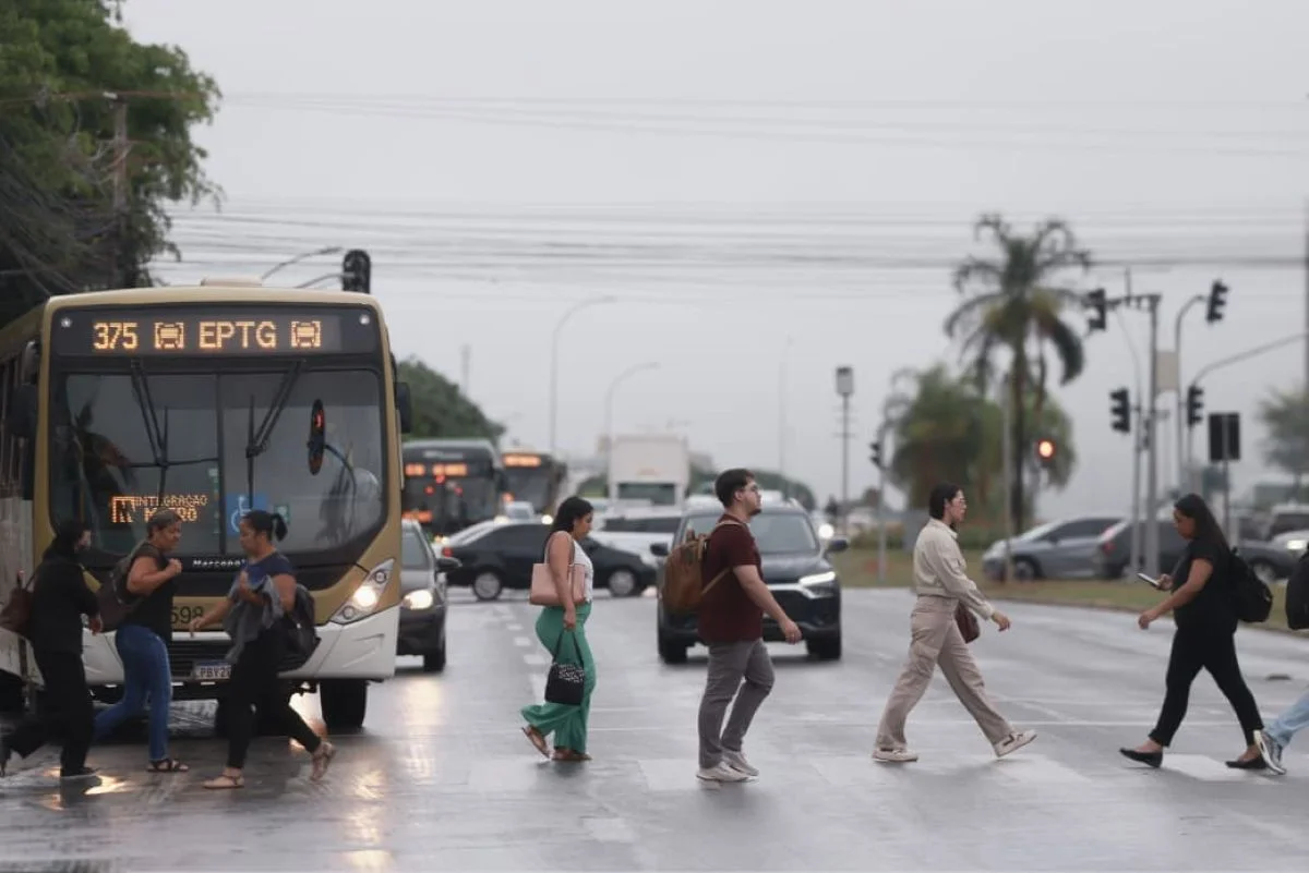 Neblina foi vista na manhã seguinte à noite de chuva Neblina foi vista na manhã seguinte à noite de chuva