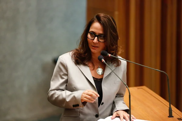 Ministro do TSE determina execução imediata da pena de Liliane Roriz