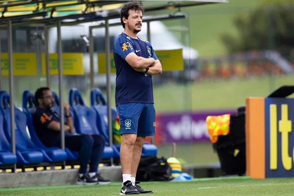 Fernando Diniz, técnico da Seleção Brasileira - Metrópoles
