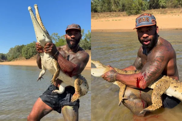 montagem colorida de prints de vídeo de influencer lutando com crocodilo