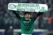 Palmeiras eliminou a LDU está na final da Libertadores. Palmeiras eliminou a LDU está na final da Libertadores.
