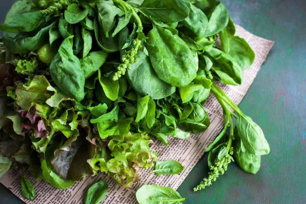 Imagem mostra vários vegetais de folhas escuras - Metrópoles