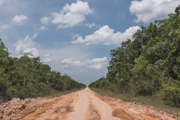 Foto colorida da BR-319, no coração da Amazônia - Metrópoles