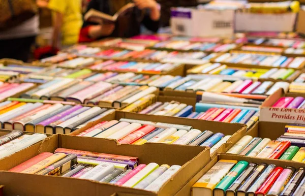 Feira do Livro traz nomes como Milton Hatoum e Thalita Rebouças ao DF