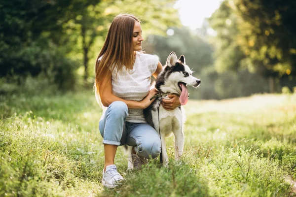 Protetor solar para cães: qual a importância?