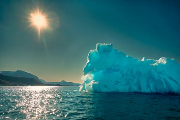 Aquecimento e acidez no mar preocupam especialistas no Dia do Oceano