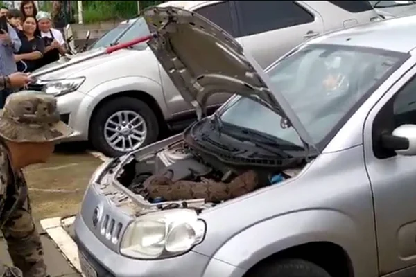 Vídeo: jiboia é encontrada em motor de carro no Jardim Botânico
