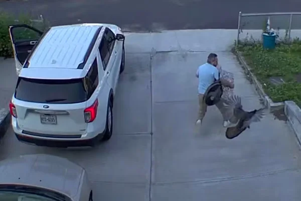 Imagem colorida de homem sendo atacado por peru - Metrópoles