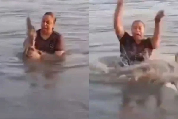 Vídeo: mulher segura “tronco” em lagoa e percebe que era jacaré