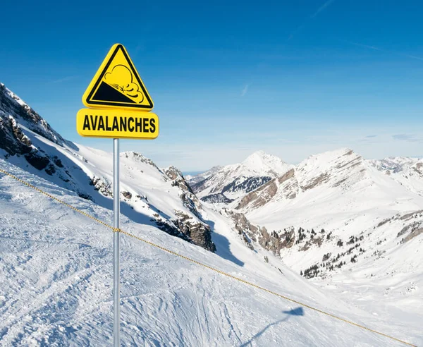 avalanche / getty images Metrópoles