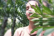Foto com um pé de maconha Foto com um pé de maconha