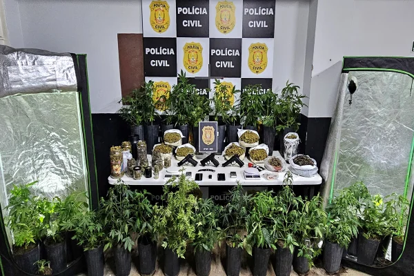 Hervachips: personal da marola é preso com skunk “artesanal”