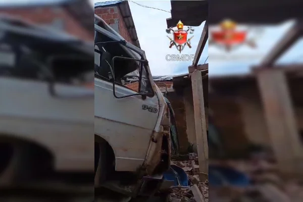 Imagem colorida de câminha branco que invadiu casa