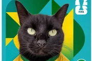 Gato vidente que acertou resultados da Copa faz previsão para Brasil x Noruega - imagem 5
