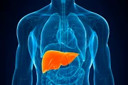 O fígado é responsável por metabolizar e eliminar toxinas das substâncias que ingerimos