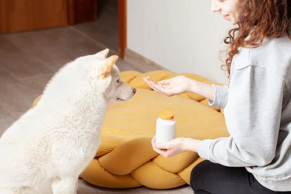 Suplementação canina