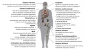 Sintomas da obesidade clínica que vão além do IMC