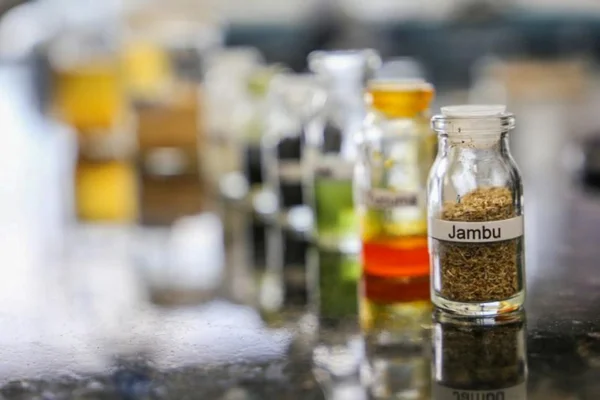 Pará investe em bioeconomia e impulsiona o desenvolvimento sustentável