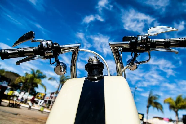 Brasília Capital Moto Week faz ação ecológica com plantio de árvores