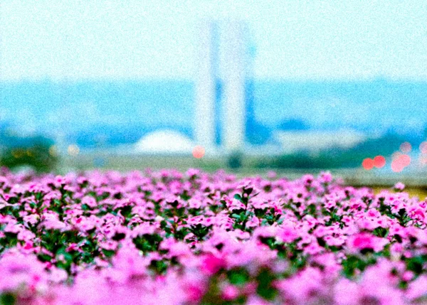 Primavera começa nesta quarta-feira com 34ºC e névoa seca