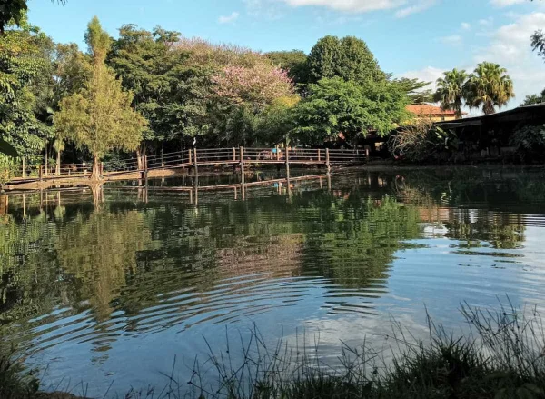 Rancho Paraná reúne saborosa comida caipira e a beleza das flores