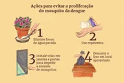Cada cidadão pode ajudar na luta contra o mosquito da dengue Cada cidadão pode ajudar na luta contra o mosquito da dengue