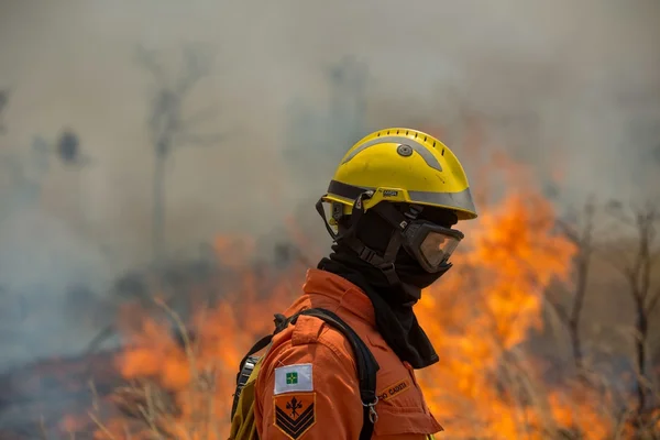Bombeiros levam 5h para conter incêndio na Floresta Nacional