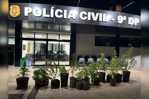 prisão-9ªDp-agrônomo-tráfico de drogas