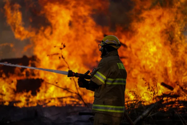 Militares do Corpo de Bombeiros do Distrito Federal trabalham para controlar incêndio em área de mata da UNB Metropoles 5