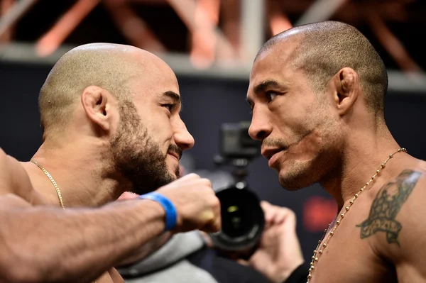 UFC 245: curiosidades sobre os combates da noite em Las Vegas