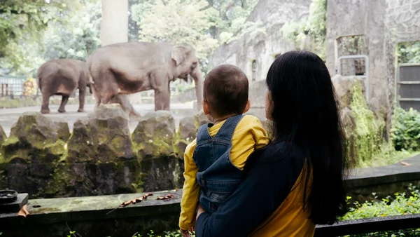 bebê e mãe no zoológico