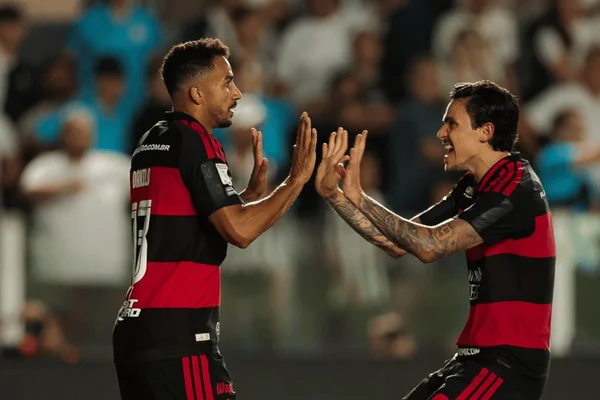 Danilo e Pedro comemoram gol do Flamengo sobre o Santos
