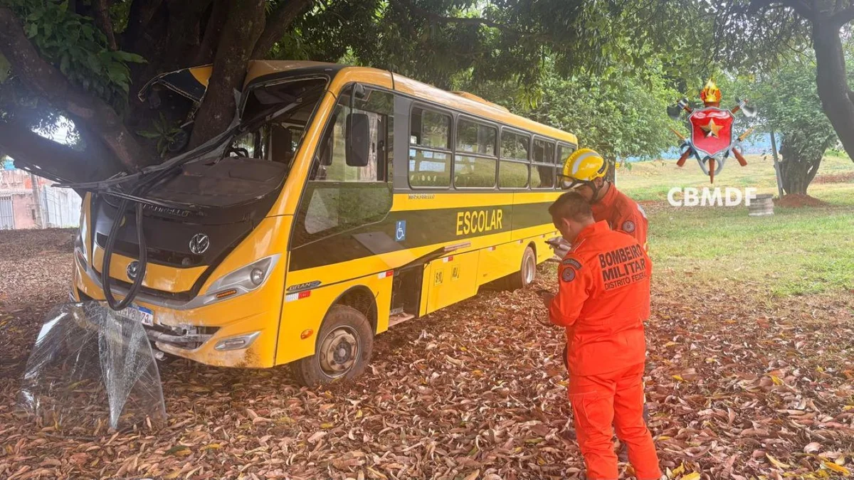 Van escolar transportava 27 crianças e uma monitora quando bateu em uma árvore Van escolar transportava 27 crianças e uma monitora quando bateu em uma árvore