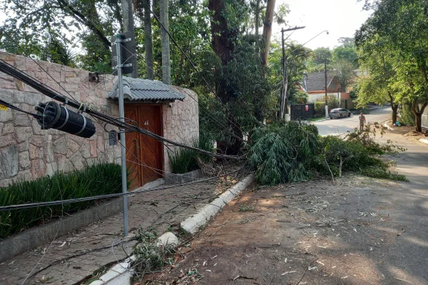 Imagem mostra fios soltos e árvore caída após tempestade que causou apagão em SP - Metrópoles