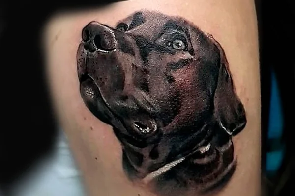 Brumadinho: “Para sempre eternizado”, cão Barney vira tatuagem