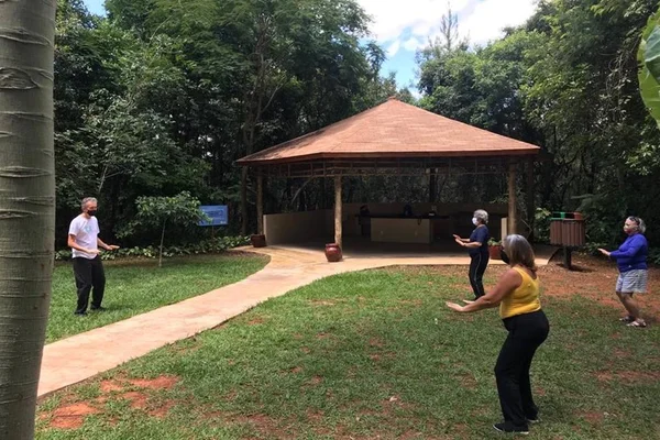 Com medidas protetivas, Jardim Botânico volta a oferecer aulas gratuitas de tai chi chuan