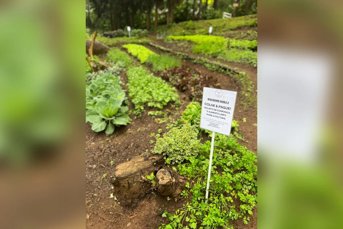 Sara criou, ao lado do marido, uma horta agroecológica que funciona na base da confiança Sara criou, ao lado do marido, uma horta agroecológica que funciona na base da confiança