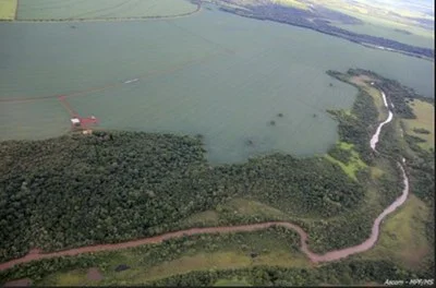 Governo é multado em R$ 90 milhões por não verificar agrotóxicos