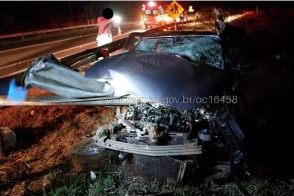 Segundo a Artesp, o motorista teria mudado a trajetória bruscamente para evitar atropelar a capivara e batido na defensa metálica - Metrópoles