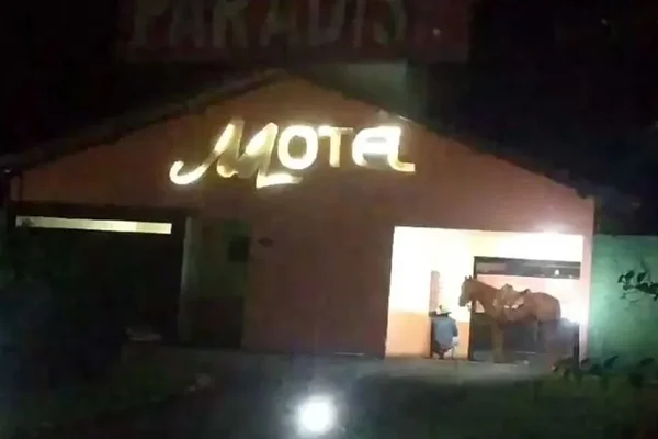 Imagem colorida mostra homem tentando entrar em motel com cavalo - Metrópoles