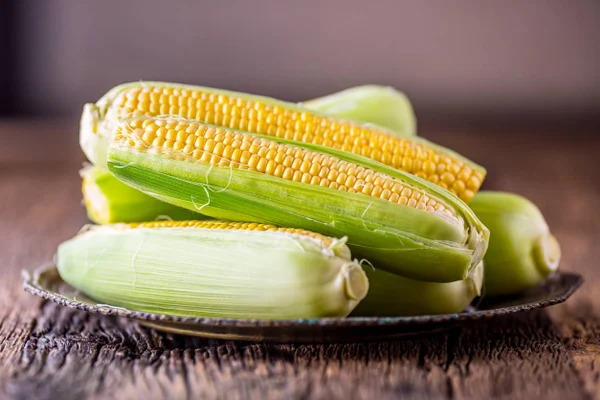 É tempo de milho verde. Confira 8 receitas gostosas com o grão