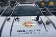 Material apreendido