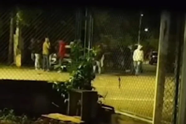 Imagem colorida de membros da organizada Mancha Alvi Verde. Metrópoles