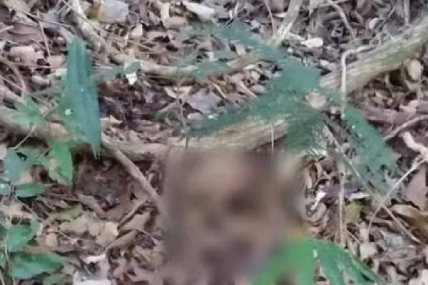 Imagem mostra ossada de idosa encontrada por grupo que fazia trilha em Itu- Metrópoles