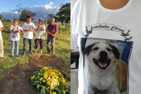 Detalhes do enterro de vira-lata em município na Bahia emocionam a web