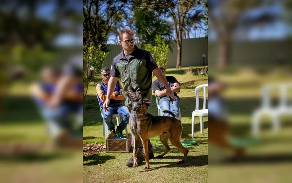 Após 18 dias, policial encontra Django, cão farejador que havia fugido