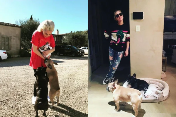 Lady Gaga e seus três cachorros