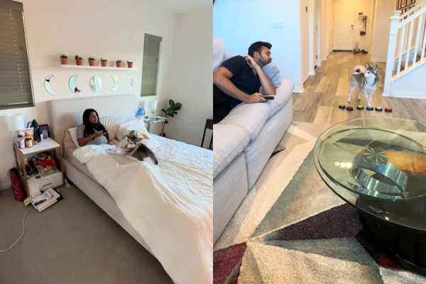 Montagem colorida de uma mulher na cama e um homem deitado no sofá - Metrópoles